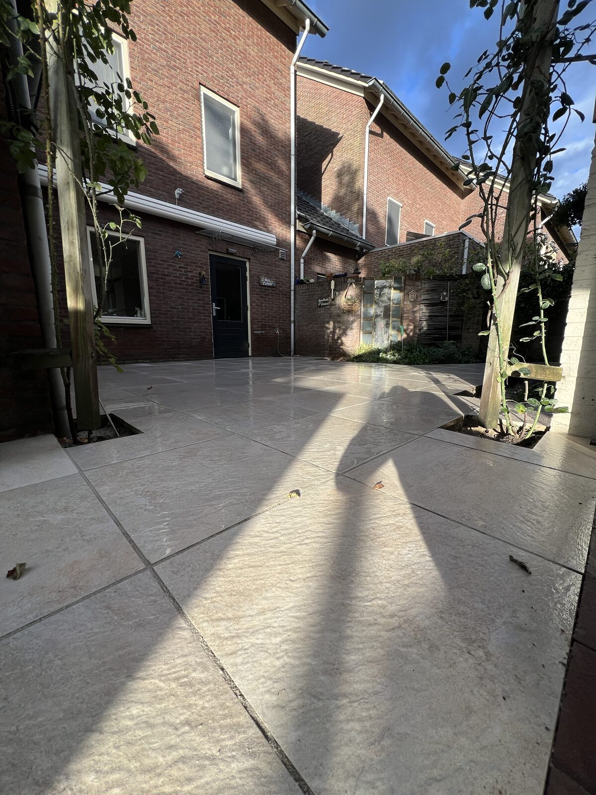 Terras aan de achtergevel, de bomen zijn blijven staan